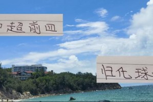 中超前 4 归化球员 还是北京国安塞鸟 表现最帅